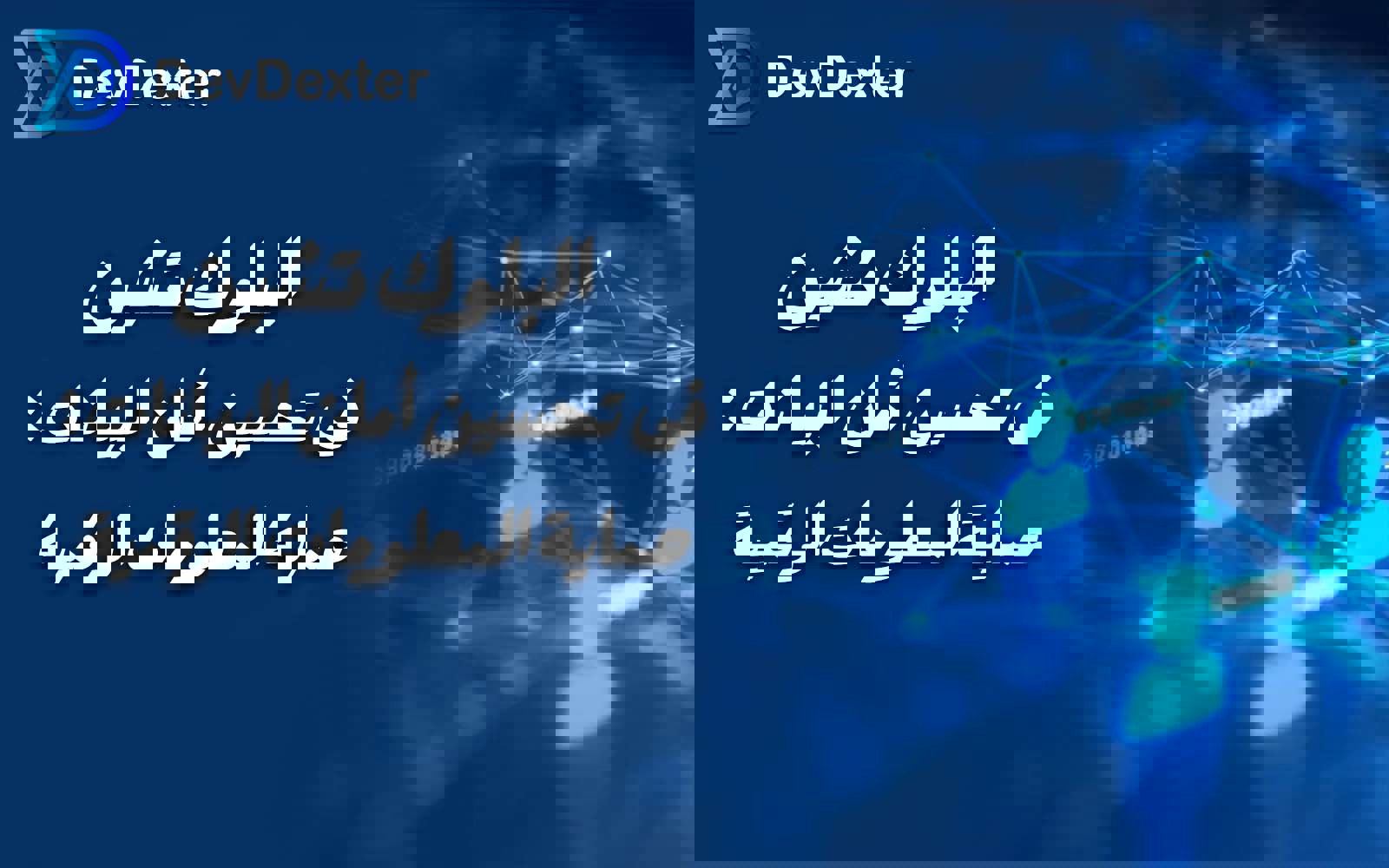 البلوک تشین فی تحسین أمان البیانات | حمایة المعلومات الرقمیة
